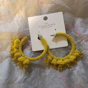 Beautiful Treasure Jewels earrings